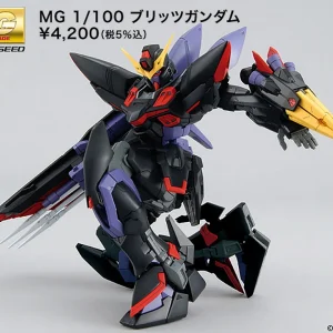 MG 1/100 GUNDAM BLITZ 19