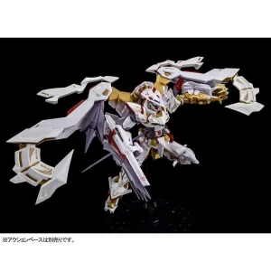 RG 1/144 GUNDAM ASTRAY GOLD FRAME AMATSU HANA 21