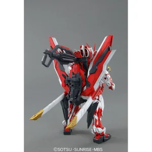 MG 1/100 ASTRAY RED FRAME REVISE 10