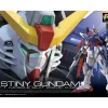 RG 1/144 DESTINY GUNDAM 22