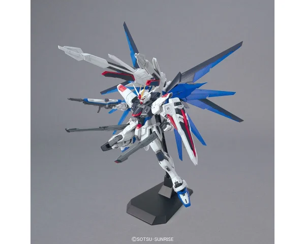 MG 1/100 FREEDOM GUNDAM VER 2.0 6