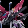 RG 1/144 DESTINY IMPULSE GUNDAM 19