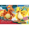 POKEMON COLLECTION No.43 DRACAUFEU ET DRACOLOSSE ( CHARIZARD AND DRAGONITE) 17