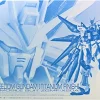 RG 1/144 STRIKE FREEDOM GUNDAM (TITANIUM FINISH) 13